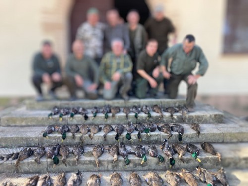 imagen de Tiradas de patos